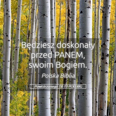 Picture 05 - Powtórzonego 18:13 POLUBG - Będziesz doskonały przed PANEM, swoim - Bible Verse Picture