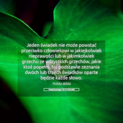 Picture 05 - Powtórzonego 19:15 POLUBG - Jeden świadek nie może powstać przeciwko - Bible Verse Picture