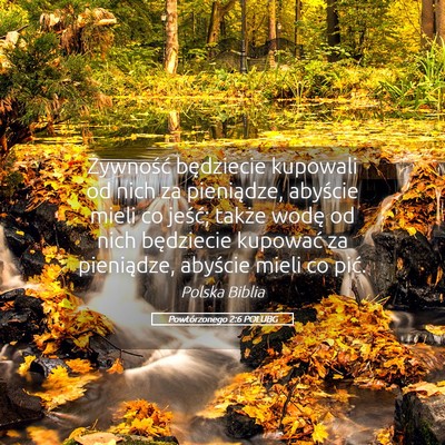 Picture 05 - Powtórzonego 2:6 POLUBG - Żywność będziecie kupowali od nich za - Bible Verse Picture