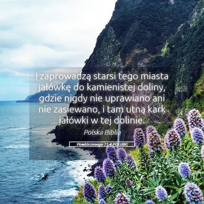 Picture 05 - Powtórzonego 21:4 POLUBG - I zaprowadzą starsi tego miasta jałówkę do - Bible Verse Picture