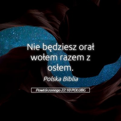 Picture 05 - Powtórzonego 22:10 POLUBG - Nie będziesz orał wołem razem z - Bible Verse Picture