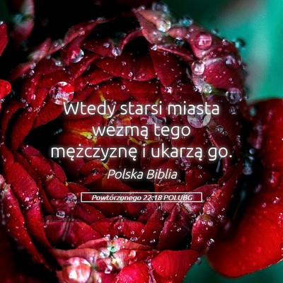 Picture 05 - Powtórzonego 22:18 POLUBG - Wtedy starsi miasta wezmą tego mężczyznę i - Bible Verse Picture