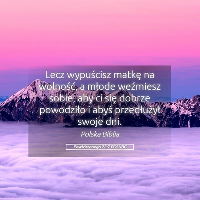 Picture 05 - Powtórzonego 22:7 POLUBG - Lecz wypuścisz matkę na wolność, a młode - Bible Verse Picture