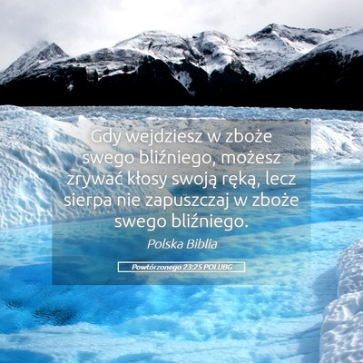Picture 05 - Powtórzonego 23:25 POLUBG - Gdy wejdziesz w zboże swego bliźniego, możesz - Bible Verse Picture