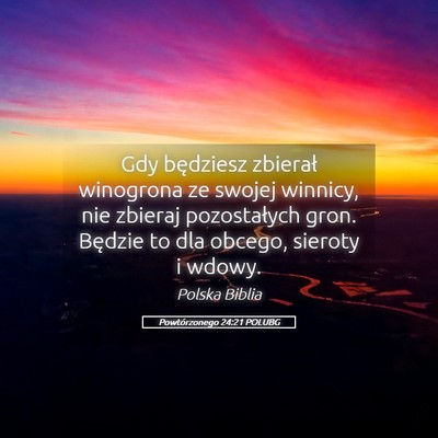 Picture 05 - Powtórzonego 24:21 POLUBG - Gdy będziesz zbierał winogrona ze swojej - Bible Verse Picture