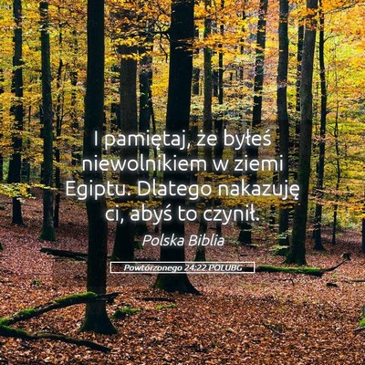 Picture 05 - Powtórzonego 24:22 POLUBG - I pamiętaj, że byłeś niewolnikiem w ziemi - Bible Verse Picture
