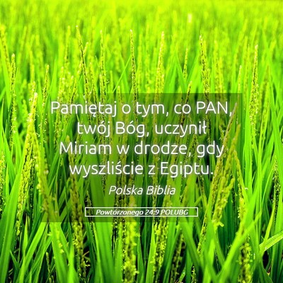 Picture 05 - Powtórzonego 24:9 POLUBG - Pamiętaj o tym, co PAN, twój Bóg, uczynił - Bible Verse Picture
