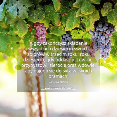 Picture 05 - Powtórzonego 26:12 POLUBG - A gdy zakończysz składanie wszystkich - Bible Verse Picture