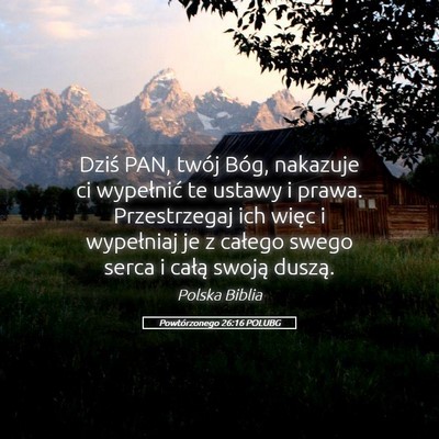 Picture 05 - Powtórzonego 26:16 POLUBG - Dziś PAN, twój Bóg, nakazuje ci wypełnić te - Bible Verse Picture