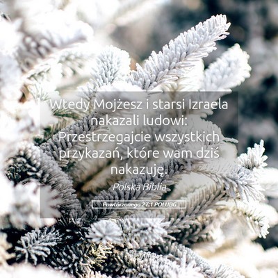 Picture 05 - Powtórzonego 27:1 POLUBG - Wtedy Mojżesz i starsi Izraela nakazali ludowi: - Bible Verse Picture