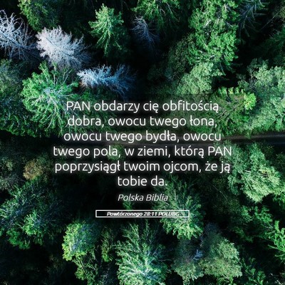 Picture 05 - Powtórzonego 28:11 POLUBG - PAN obdarzy cię obfitością dobra, owocu twego - Bible Verse Picture
