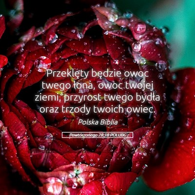 Picture 05 - Powtórzonego 28:18 POLUBG - Przeklęty będzie owoc twego łona, owoc twojej - Bible Verse Picture