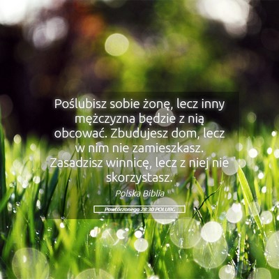 Picture 05 - Powtórzonego 28:30 POLUBG - Poślubisz sobie żonę, lecz inny mężczyzna - Bible Verse Picture