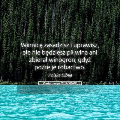 Picture 05 - Powtórzonego 28:39 POLUBG - Winnicę zasadzisz i uprawisz, ale nie będziesz - Bible Verse Picture
