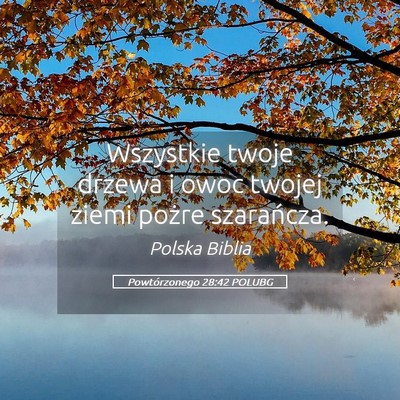 Picture 05 - Powtórzonego 28:42 POLUBG - Wszystkie twoje drzewa i owoc twojej ziemi pożre - Bible Verse Picture