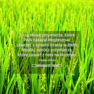 Picture 05 - Powtórzonego 29:1 POLUBG - To są słowa przymierza, które PAN nakazał - Bible Verse Picture