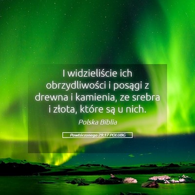 Picture 05 - Powtórzonego 29:17 POLUBG - I widzieliście ich obrzydliwości i posągi z - Bible Verse Picture