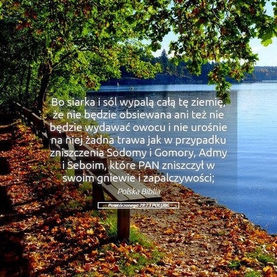 Picture 05 - Powtórzonego 29:23 POLUBG - Bo siarka i sól wypalą całą tę ziemię, że - Bible Verse Picture