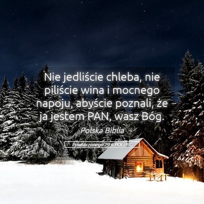 Picture 05 - Powtórzonego 29:6 POLUBG - Nie jedliście chleba, nie piliście wina i - Bible Verse Picture