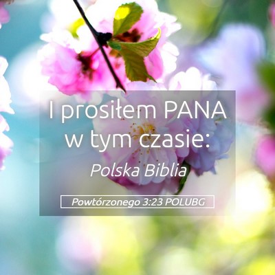 Picture 05 - Powtórzonego 3:23 POLUBG - I prosiłem PANA w tym - Bible Verse Picture