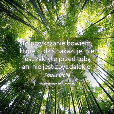 Picture 05 - Powtórzonego 30:11 POLUBG - To przykazanie bowiem, które ci dziś nakazuję, - Bible Verse Picture