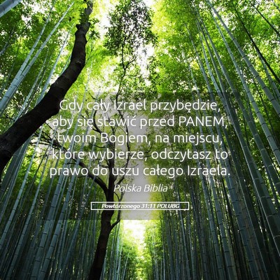 Picture 05 - Powtórzonego 31:11 POLUBG - Gdy cały Izrael przybędzie, aby się stawić - Bible Verse Picture