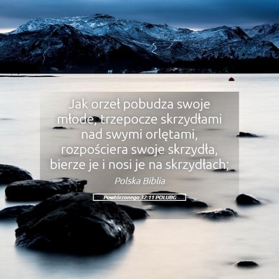 Picture 05 - Powtórzonego 32:11 POLUBG - Jak orzeł pobudza swoje młode, trzepocze - Bible Verse Picture