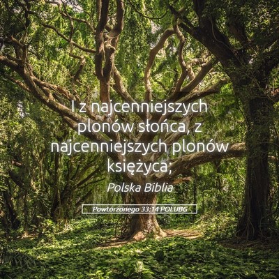Picture 05 - Powtórzonego 33:14 POLUBG - I z najcenniejszych plonów słońca, z - Bible Verse Picture