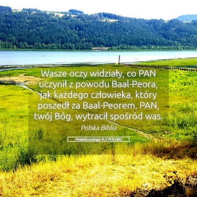 Picture 05 - Powtórzonego 4:3 POLUBG - Wasze oczy widziały, co PAN uczynił z powodu - Bible Verse Picture