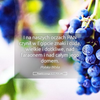 Picture 05 - Powtórzonego 6:22 POLUBG - I na naszych oczach PAN czynił w Egipcie znaki i - Bible Verse Picture