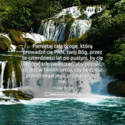Picture 05 - Powtórzonego 8:2 POLUBG - Pamiętaj całą drogę, którą prowadził cię - Bible Verse Picture