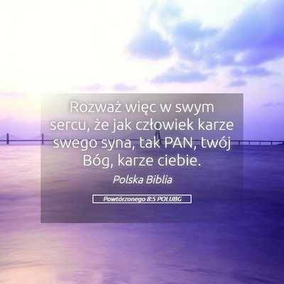 Picture 05 - Powtórzonego 8:5 POLUBG - Rozważ więc w swym sercu, że jak człowiek - Bible Verse Picture