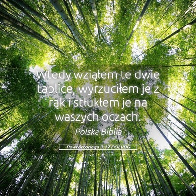 Picture 05 - Powtórzonego 9:17 POLUBG - Wtedy wziąłem te dwie tablice, wyrzuciłem je z - Bible Verse Picture