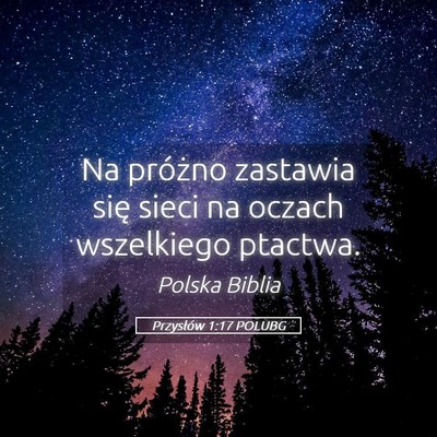 Picture 05 - Przysłów 1:17 POLUBG - Na próżno zastawia się sieci na oczach - Bible Verse Picture