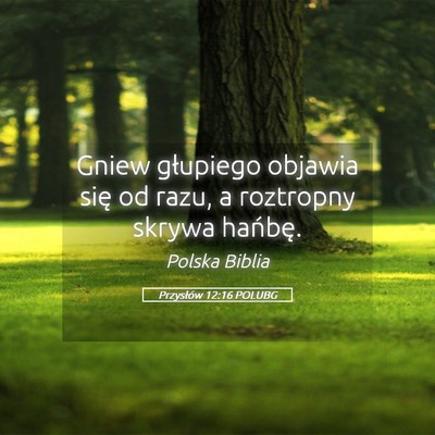 Picture 05 - Przysłów 12:16 POLUBG - Gniew głupiego objawia się od razu, a roztropny - Bible Verse Picture