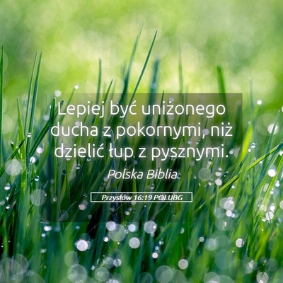 Picture 05 - Przysłów 16:19 POLUBG - Lepiej być uniżonego ducha z pokornymi, niż - Bible Verse Picture