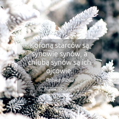 Picture 05 - Przysłów 17:6 POLUBG - Koroną starców są synowie synów, a chlubą - Bible Verse Picture