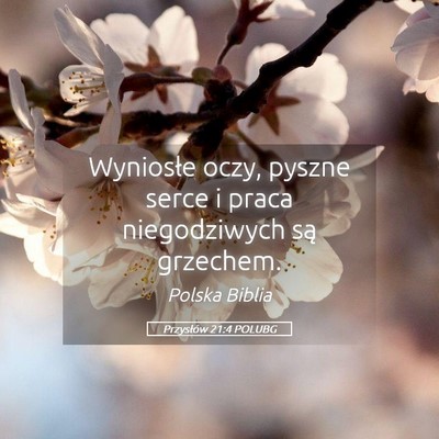 Picture 05 - Przysłów 21:4 POLUBG - Wyniosłe oczy, pyszne serce i praca niegodziwych - Bible Verse Picture