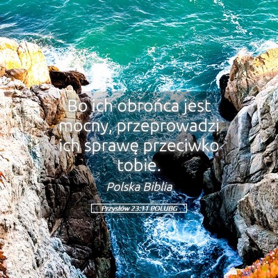 Picture 05 - Przysłów 23:11 POLUBG - Bo ich obrońca jest mocny, przeprowadzi ich - Bible Verse Picture