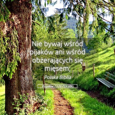 Picture 05 - Przysłów 23:20 POLUBG - Nie bywaj wśród pijaków ani wśród - Bible Verse Picture