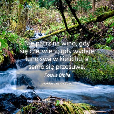 Picture 05 - Przysłów 23:31 POLUBG - Nie patrz na wino, gdy się czerwieni; gdy wydaje - Bible Verse Picture