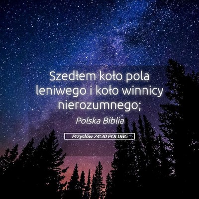 Picture 05 - Przysłów 24:30 POLUBG - Szedłem koło pola leniwego i koło winnicy - Bible Verse Picture