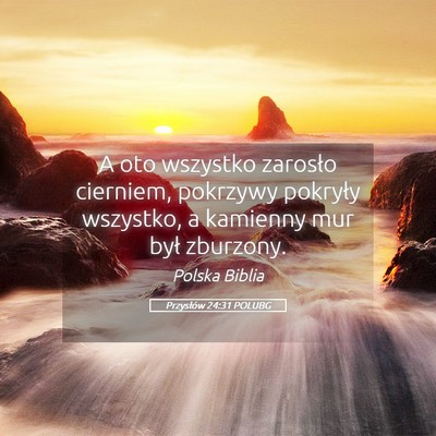 Picture 05 - Przysłów 24:31 POLUBG - A oto wszystko zarosło cierniem, pokrzywy - Bible Verse Picture