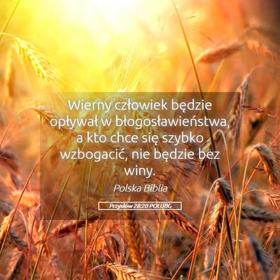 Picture 05 - Przysłów 28:20 POLUBG - Wierny człowiek będzie opływał w - Bible Verse Picture