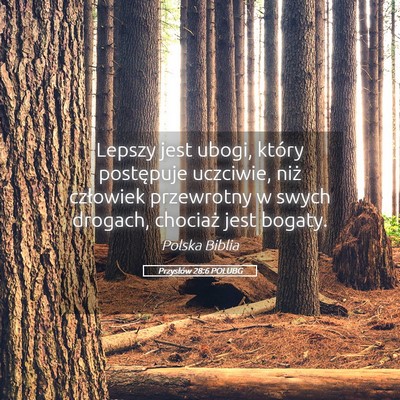 Picture 05 - Przysłów 28:6 POLUBG - Lepszy jest ubogi, który postępuje uczciwie, - Bible Verse Picture