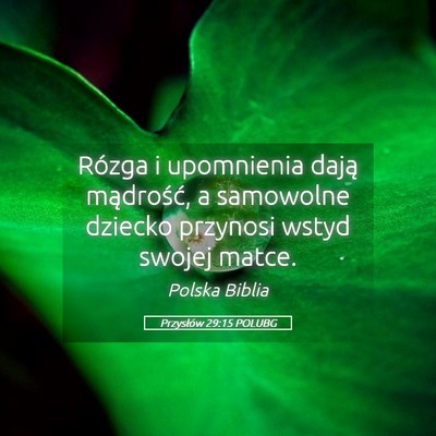 Picture 05 - Przysłów 29:15 POLUBG - Rózga i upomnienia dają mądrość, a samowolne - Bible Verse Picture