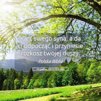 Picture 05 - Przysłów 29:17 POLUBG - Karć swego syna, a da ci odpocząć i przyniesie - Bible Verse Picture