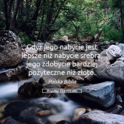 Picture 05 - Przysłów 3:14 POLUBG - Gdyż jego nabycie jest lepsze niż nabycie - Bible Verse Picture