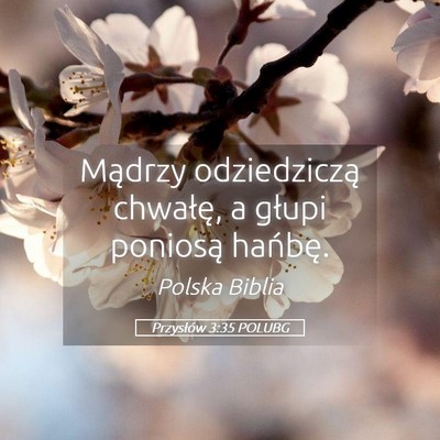 Picture 05 - Przysłów 3:35 POLUBG - Mądrzy odziedziczą chwałę, a głupi poniosą - Bible Verse Picture