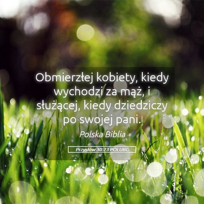 Picture 05 - Przysłów 30:23 POLUBG - Obmierzłej kobiety, kiedy wychodzi za mąż, i - Bible Verse Picture